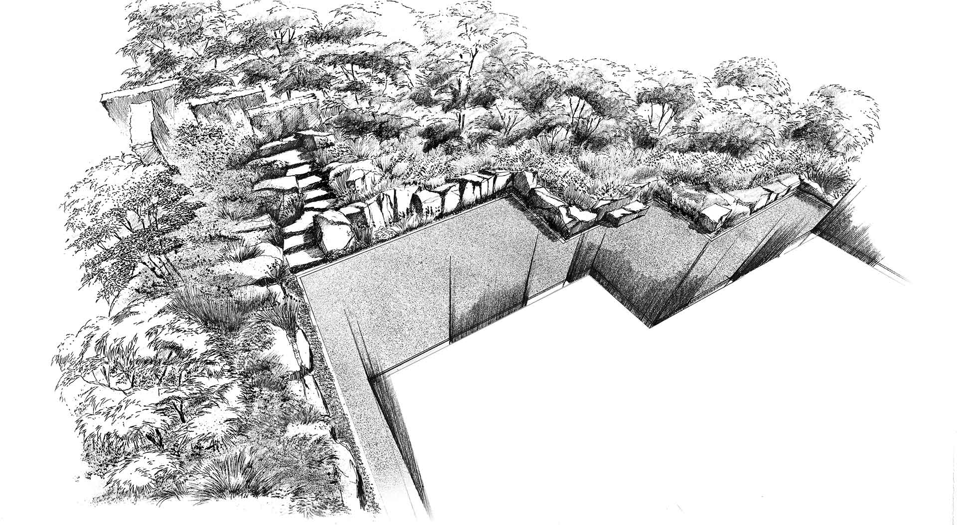 Hand-drawn sketch that plans a slope garden in front of a forest