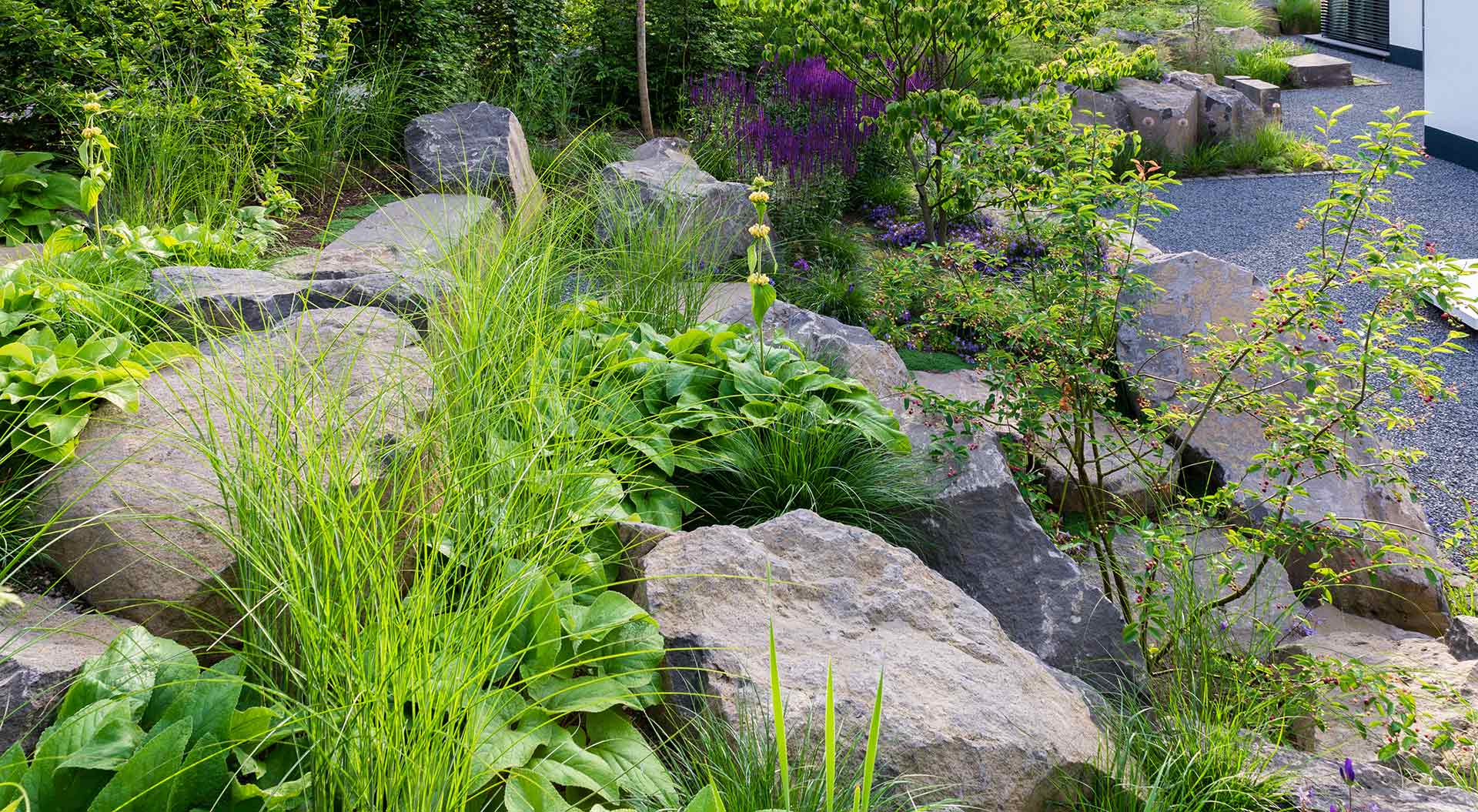 Topview down the slope with big natural stones and many plants