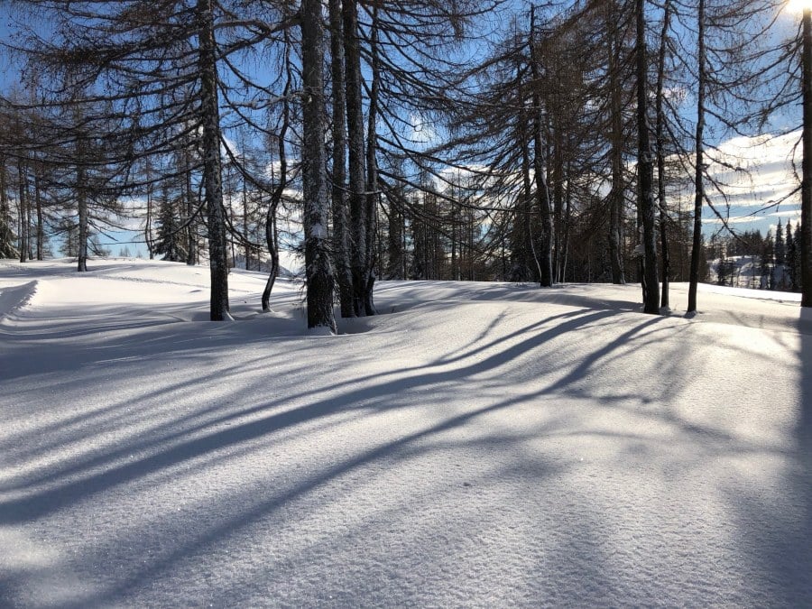 Schneelandschaft mit Tannenlichtung im Sonnenschein