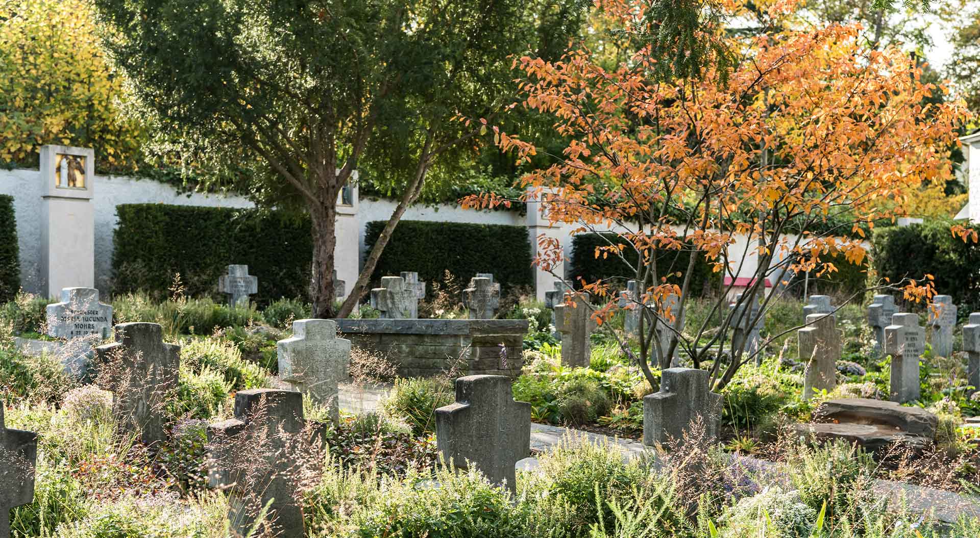 Ästhetisch mit Pflanzen und Bäumen versehener Friedhof