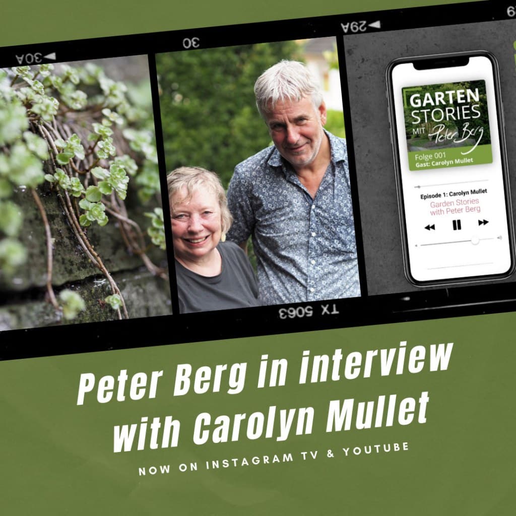 Peter Berg Podcast – Interview mit Carolyn Mullet