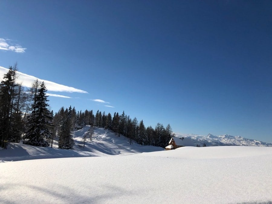 Schneelandschaft mit Tannenwäldchen bei strahlend blauem Himmel