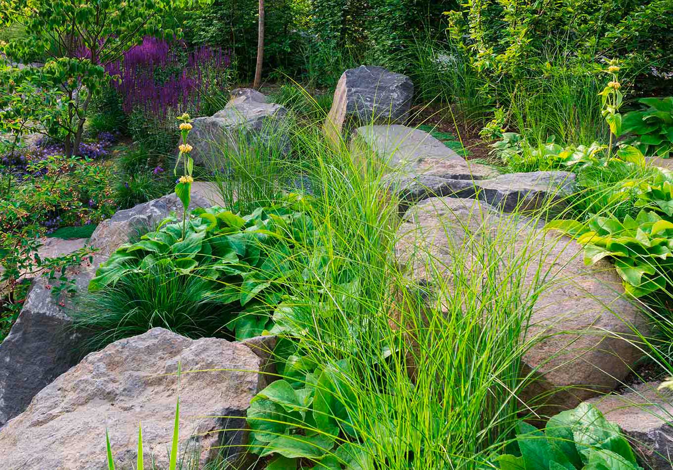 Natursteine liegen entlang frischer grüner Pflanzen im Schaugarten
